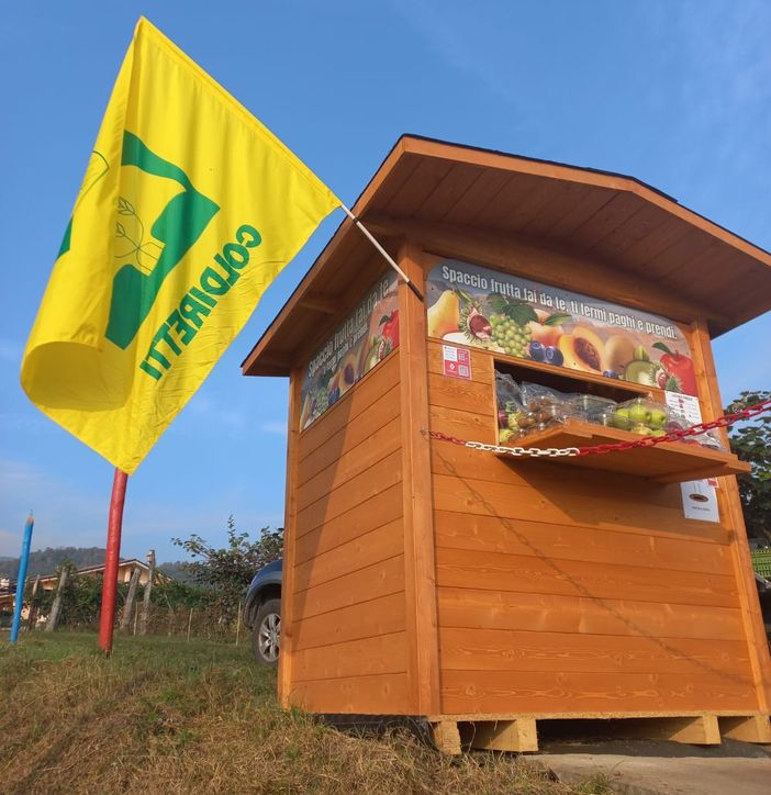 Lo spaccio fai-da-te di Bibiana Lo spaccio fai-da-te di Bibiana