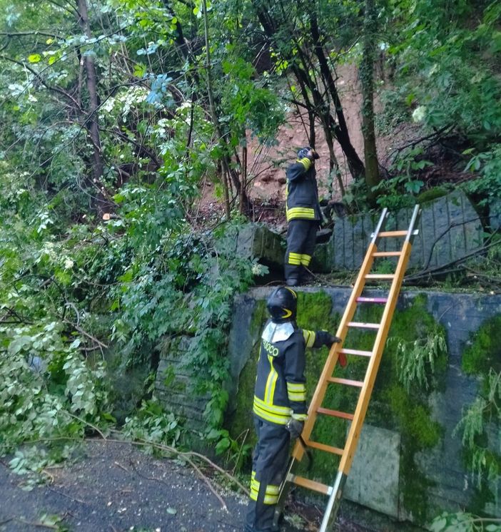 Smottamenti in collina a Luserna San Giovanni Smottamenti in collina a Luserna San Giovanni