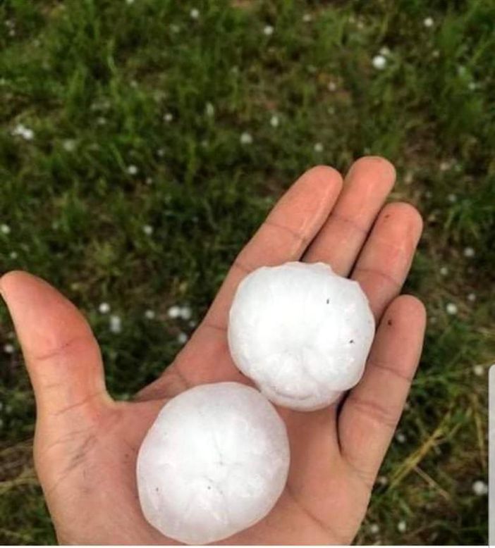 Maltempo, Coldiretti Piemonte: "Bollettino di guerra per forti grandinate, piogge e vento"