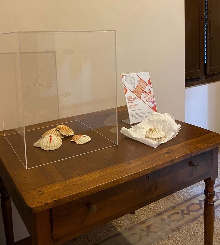 La mostra è stata allestita nei locali di Villa Prever La mostra è stata allestita nei locali di Villa Prever