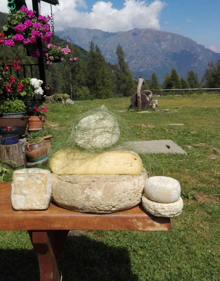 La Val Pellice vuole la sua toma entro l’autunno del 2022 La Val Pellice vuole la sua toma entro l’autunno del 2022