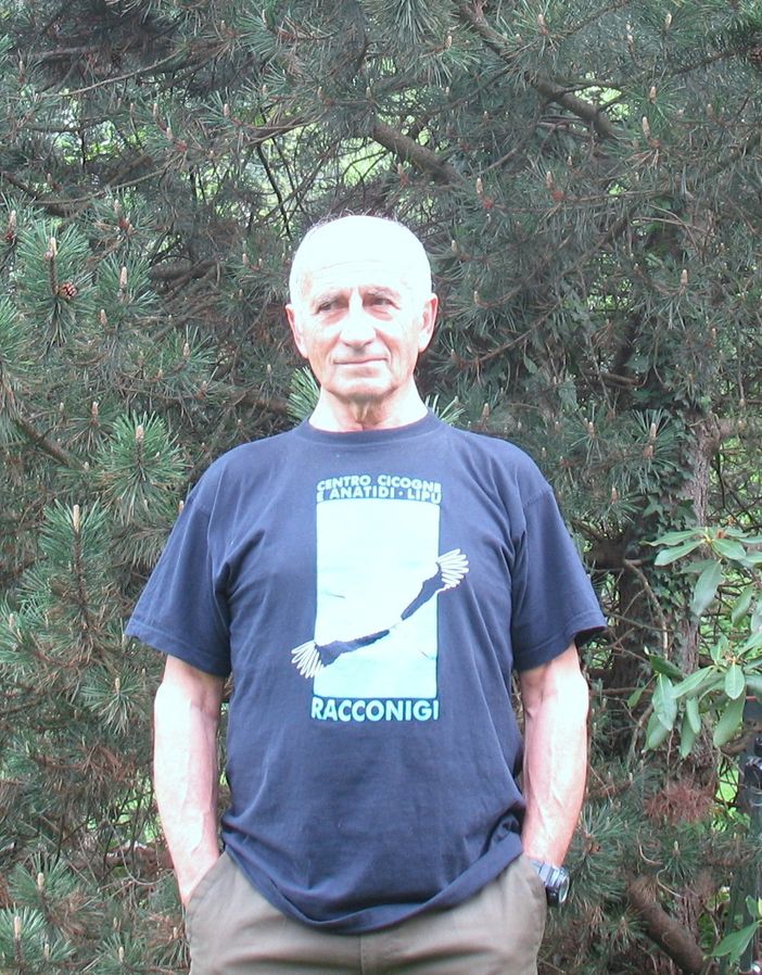 Mario Boschi