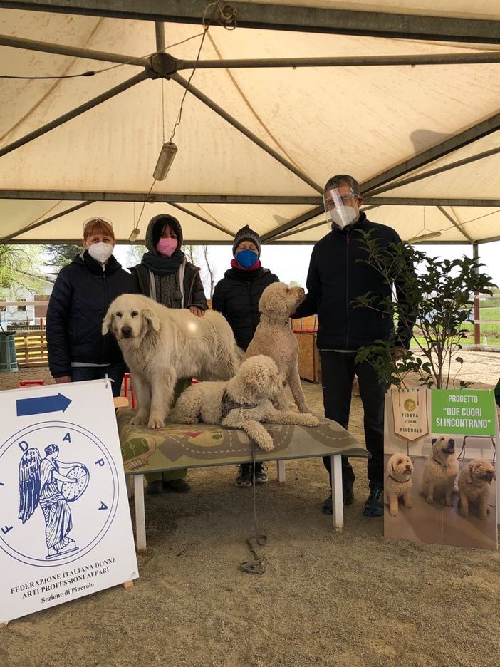 Progetto Due cuori si incontrano Progetto Due cuori si incontrano