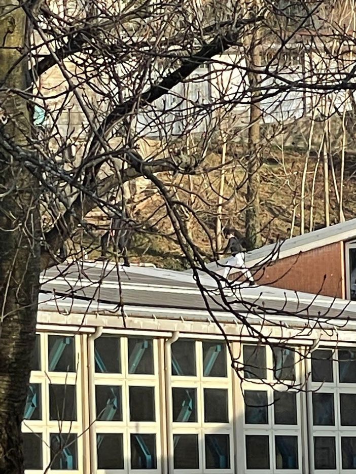 Giovani sul tetto delle scuole medie a Perosa Argentina