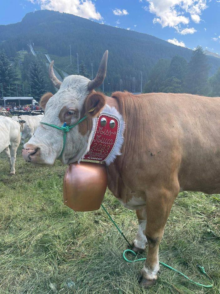 La Miss Mucca Risulin La Miss Mucca Risulin