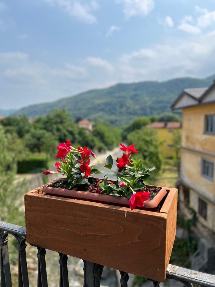 Chi vuole adottare una fioriera? È partita una nuova iniziativa di Comune e Pro loco a Torre Pellice Chi vuole adottare una fioriera? È partita una nuova iniziativa di Comune e Pro loco a Torre Pellice