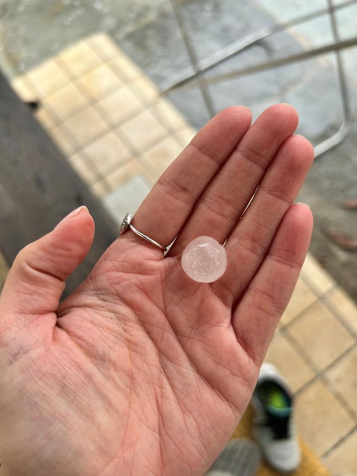 L'allarme di Coldiretti Piemonte, "Maltempo: gravi danni a colture e strutture" L'allarme di Coldiretti Piemonte, "Maltempo: gravi danni a colture e strutture"