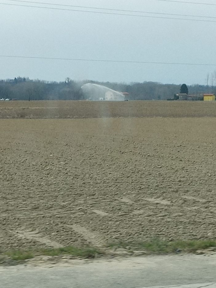 Campi irrigati Campi irrigati