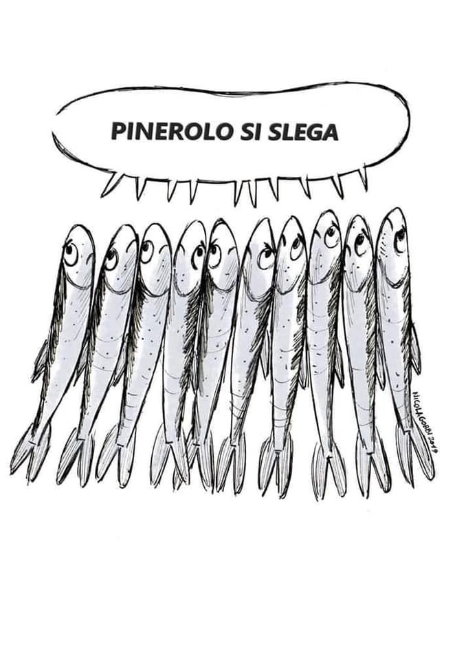 Anche “Pinerolo si slega”: domani le sardine in piazza Facta