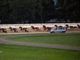 La Maratonina d'inverno all'ippodromo di Vinovo