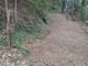 La pista ripulita