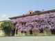 La casa del glicine, dove ha vissuto Alba de Céspedes