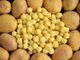A ViviPomaretto Aprile è il momento di gustare gli gnocchi inclusivi