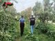 Pinerolese, controlli nelle aziende agricole