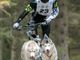 Un bibianese con i suoi Siberian Husky finisce in nazionale