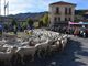 A rischio la sfilata della prossima Fiera dei Santi