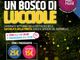 Pian Munè di Paesana: le lucciole nel bosco
