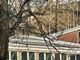 Giovani sul tetto delle scuole medie a Perosa Argentina