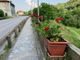 Alcuni dei fiori piantati dalla Pro loco