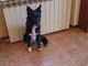 Cloe