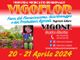 Sabato e domenica a Vigone fioriscono anche i cappelli