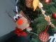 Un dettaglio dell’albero vincente