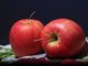 Il distretto del cibo pinerolese diventa realtà