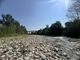 Il fiume Stura, ( foto scattate a fine giugno a Cuneo, zona delle Basse Sant'Anna) Il fiume Stura, ( foto scattate a fine giugno a Cuneo, zona delle Basse Sant'Anna)