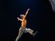 Al via Mirabilia International Circus &amp; Performing Arts Festival 2021