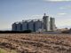 azienda agricola mais