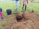 100 ragazzi delle scuole di Stupinigi nel parco naturale per la Festa dell'Albero