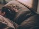 Insonnia invernale: come combatterla? Consigli utili e rimedi per dormire bene