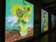 VAN GOGH EXPERIENCE: dal 18 marzo la mostra multimediale che abbraccia il visitatore in una nuova esperienza multisensoriale alla Palazzina di Stupinigi