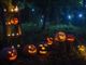Paesana: il bosco di Pian Munè si trasforma per Halloween e diventa stregato