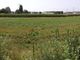 area verde vadò