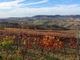 Autunno nel frutteto e vigneto: come preparare le piante all'inverno