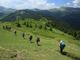 Montagna: dalla Regione 5 milioni per migliorare 200 km di sentieri e strade bianche
