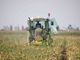 Agricoltura, in Piemonte aperto il bando da 9,2 milioni per la riduzione delle emissioni di gas serra e ammoniaca