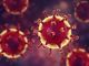 Virus del Covid 19