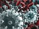 Continua la corsa del Coronavirus in Piemonte: 4 i decessi e quasi 500 nuovi positivi