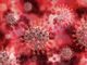 Coronavirus in Piemonte: mai così tanti morti nella seconda ondata. Ma continuano a calare i ricoveri