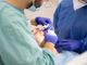 dentista all'opera