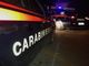 Rave party a Stupinigi: forze dell’ordine in azione