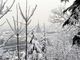 In Piemonte torna la neve in collina, miglioramenti verso il fine settimana