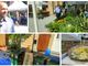 Collage di foto di un evento pubblico all'aperto