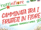 Fiori e frutti protagonisti a Lagnasco dal 5 al 7 aprile con la XXI edizione di Fruttinfiore