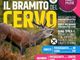Pian Munè di Paesana: camminata alla scoperta del bramito dei cervi