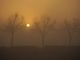 Settimana all'insegna dell'incertezza ma con più nebbia che pioggia sul Torinese