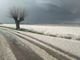 albero con a neve e la strada imbiancata