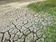 Coldiretti: &quot;I cambiamenti climatici mettono a rischio produzione e occupazione&quot;